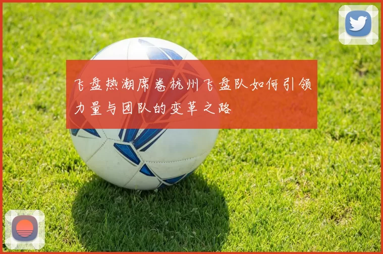 飞盘热潮席卷杭州飞盘队如何引领力量与团队的变革之路