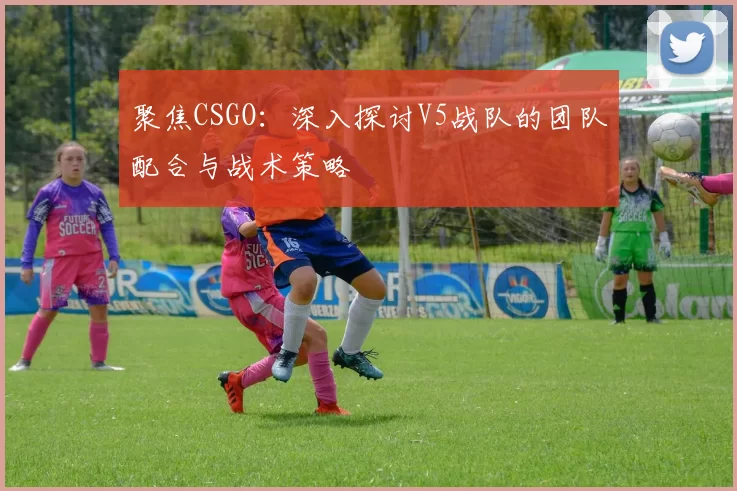 聚焦CSGO：深入探讨V5战队的团队配合与战术策略