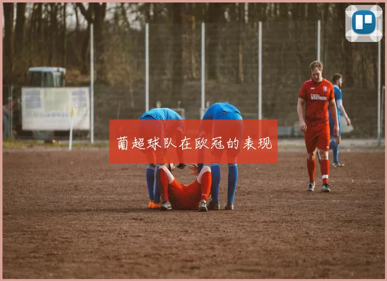 葡超球队在欧冠的表现