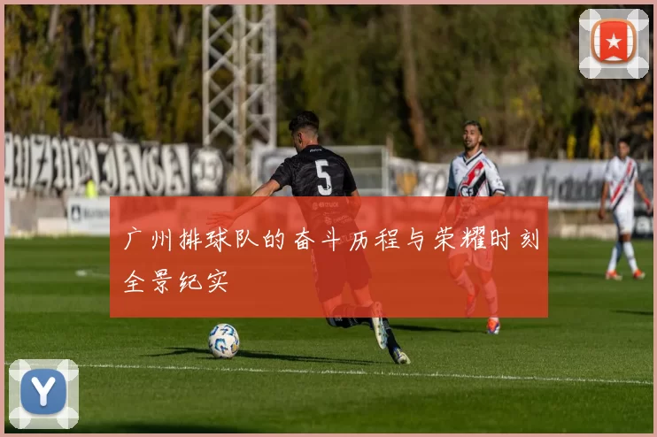 广州排球队的奋斗历程与荣耀时刻全景纪实