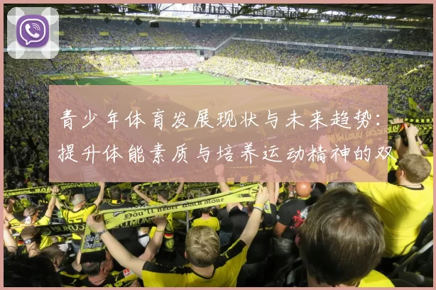 青少年体育发展现状与未来趋势：提升体能素质与培养运动精神的双重路径