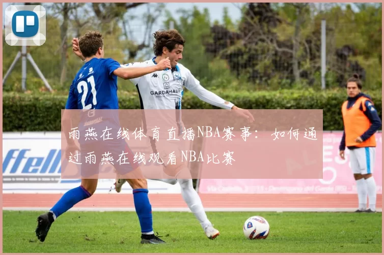 雨燕在线体育直播NBA赛事：如何通过雨燕在线观看NBA比赛