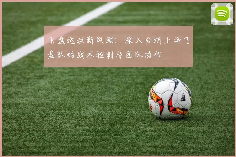 飞盘运动新风潮：深入分析上海飞盘队的战术控制与团队协作