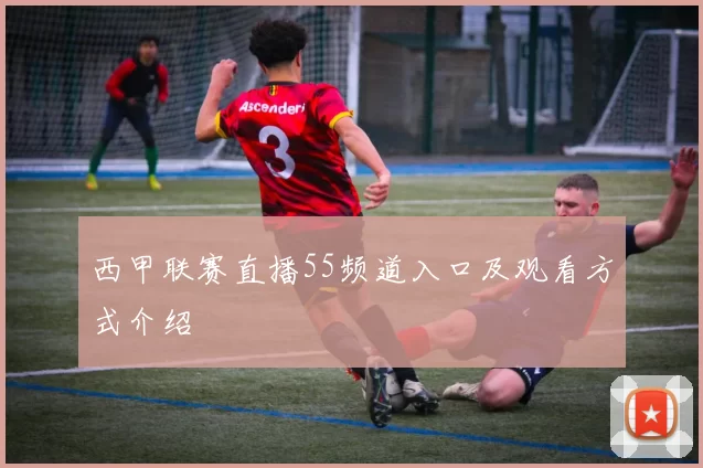西甲联赛直播55频道入口及观看方式介绍