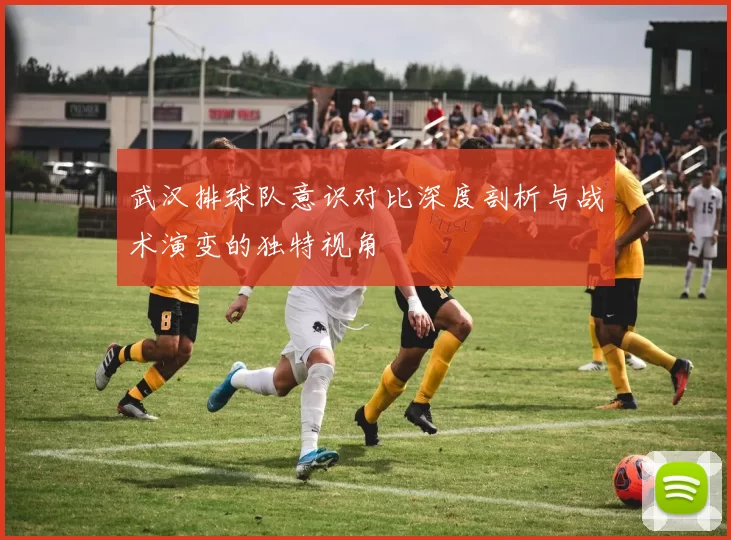 武汉排球队意识对比深度剖析与战术演变的独特视角