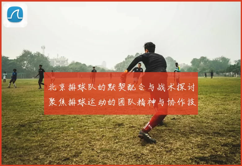 北京排球队的默契配合与战术探讨聚焦排球运动的团队精神与协作技巧